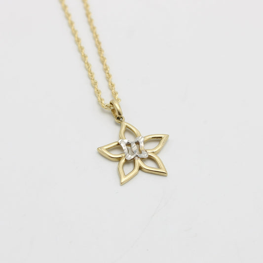 14K Star Pendant Two Tones With Rope Chain Yellow Gold